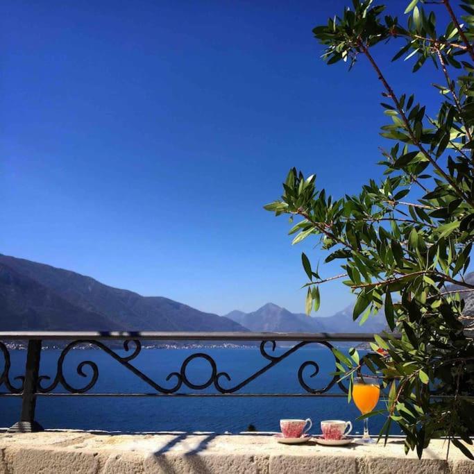 Apartment Terazza Di Ljuta كوتور المظهر الخارجي الصورة