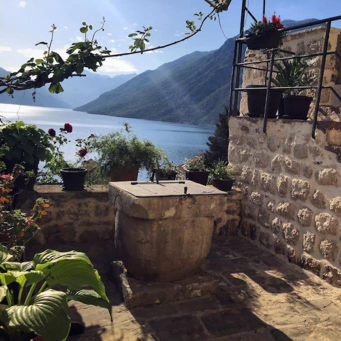 Apartment Terazza Di Ljuta كوتور المظهر الخارجي الصورة